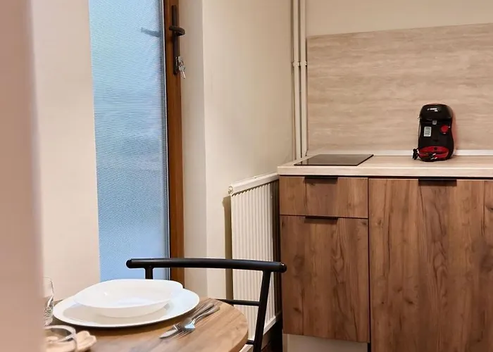 Apartman Calea Victoriei - Premium & *