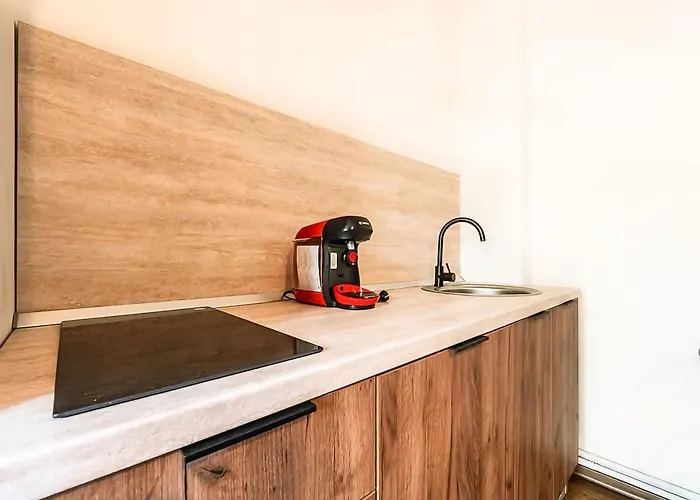 Calea Victoriei - Premium & * بوخارست